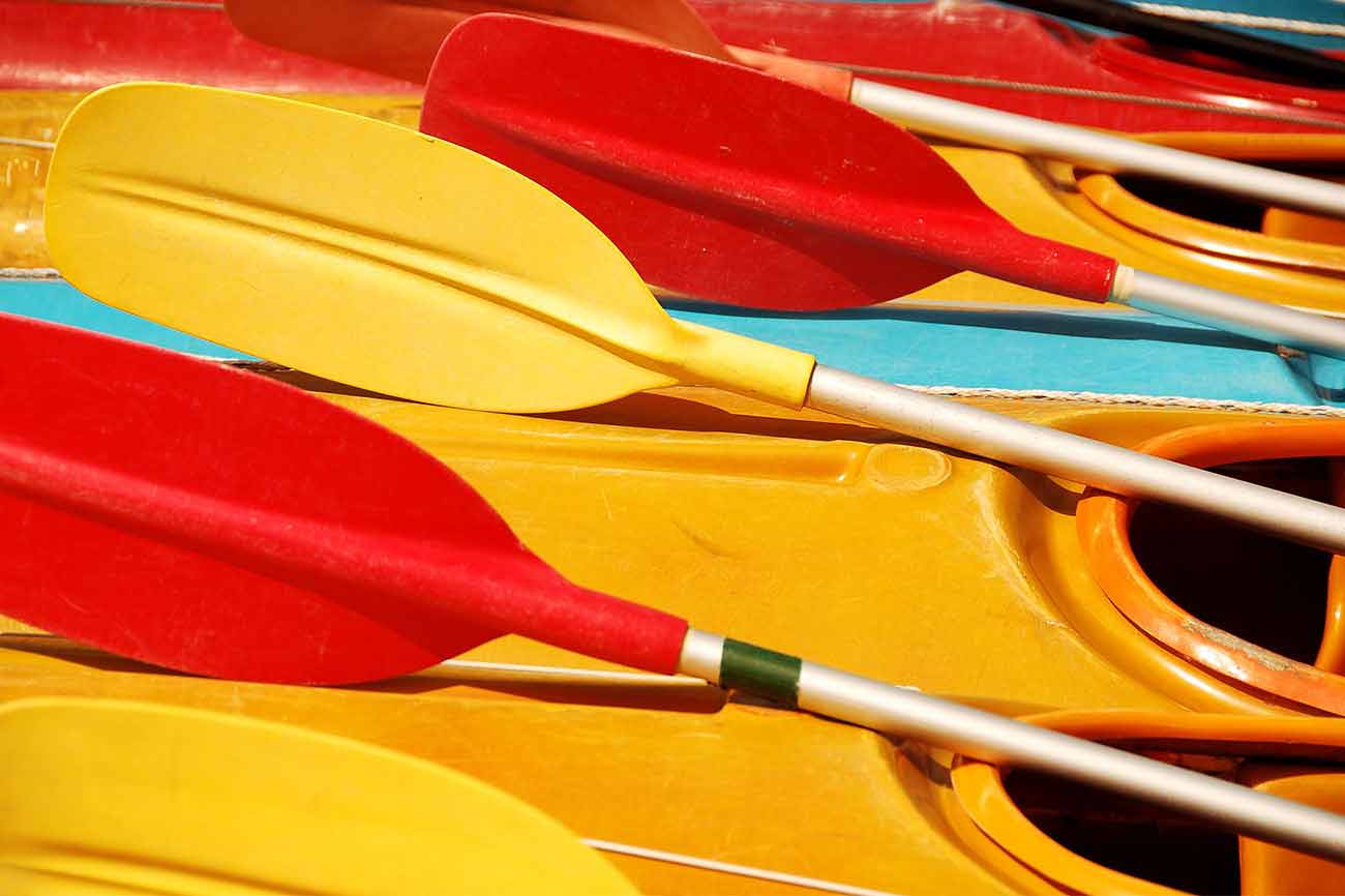 Several Kayaks and paddles that are different colors
