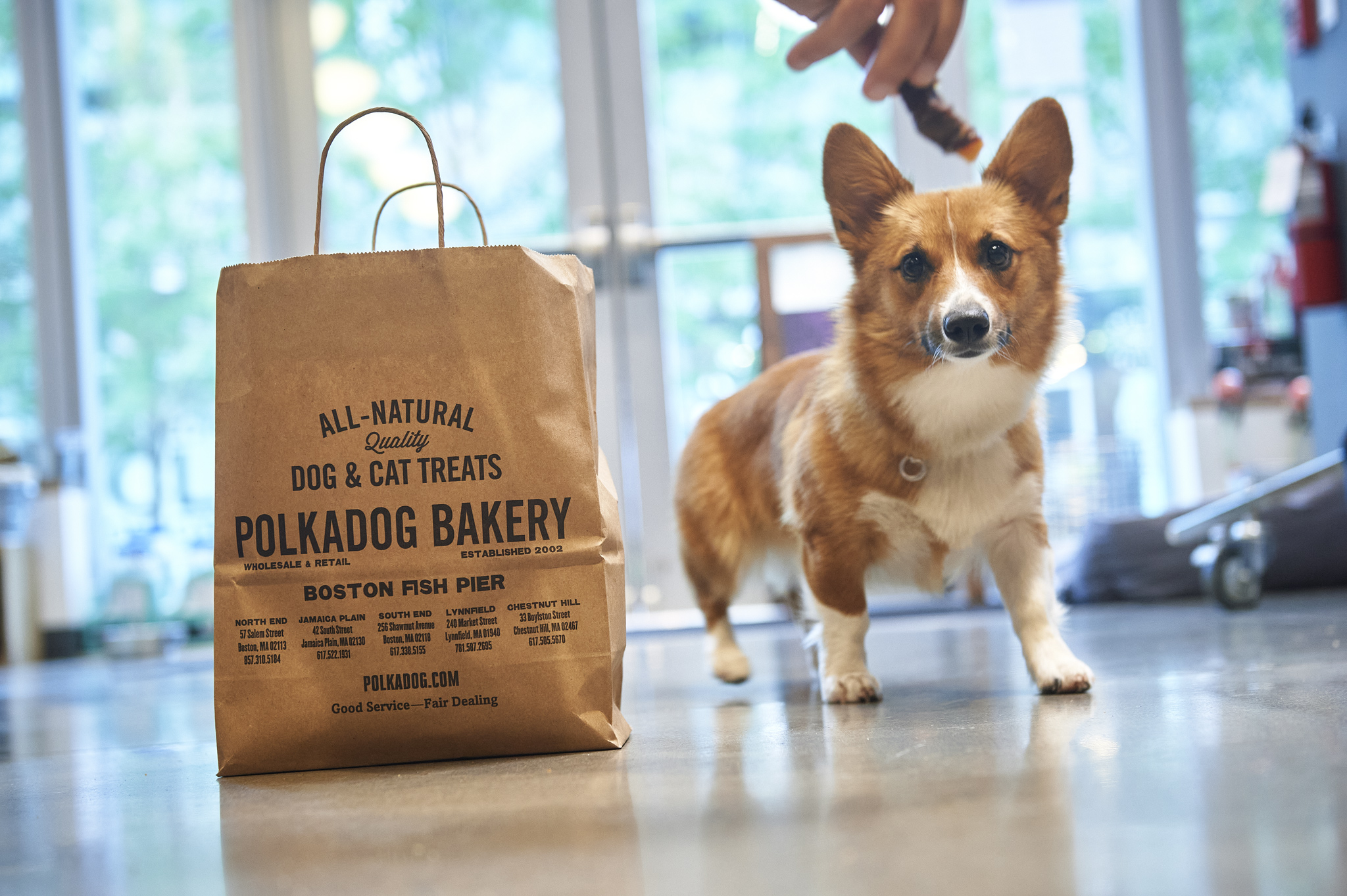 Ma & Paws Bakery Gives Up the Goods